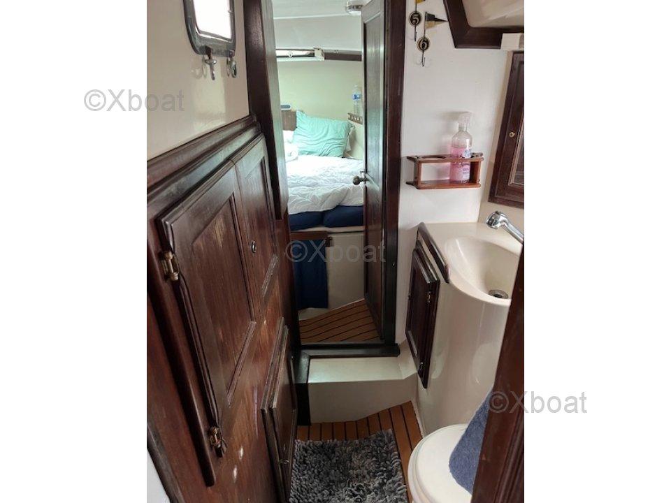 playvisa Coronado 35 cc