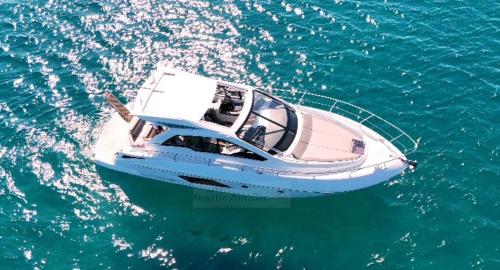 Salpa laver 38 x 2019