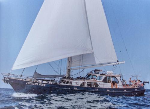 Cavalier cavalier 92