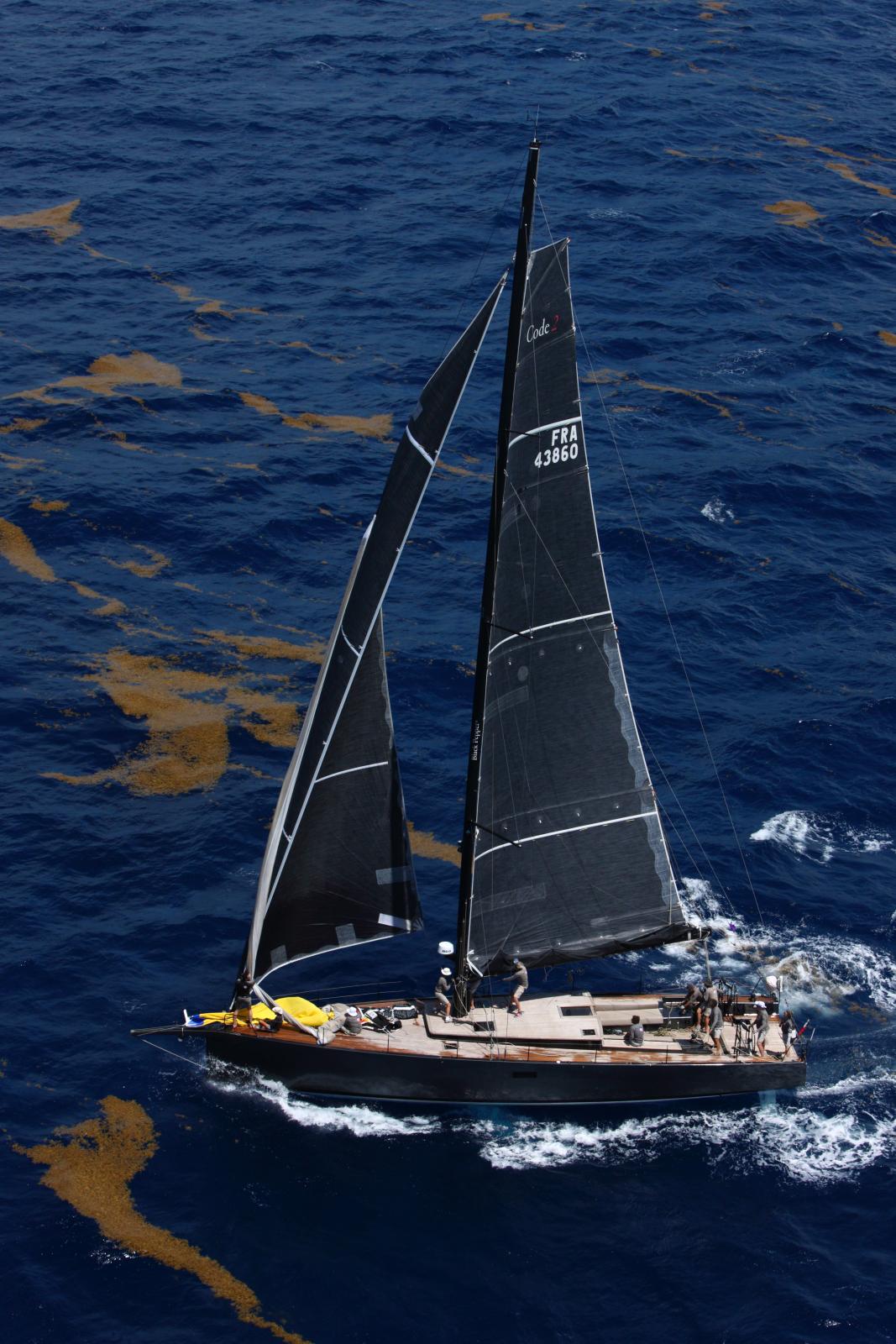 black pepper Code 2.1 new