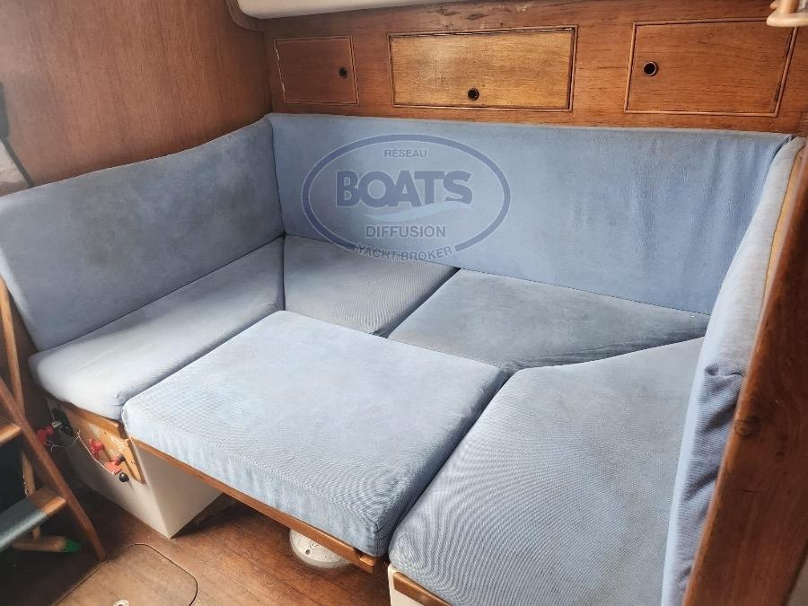 trident marine Warrior 35