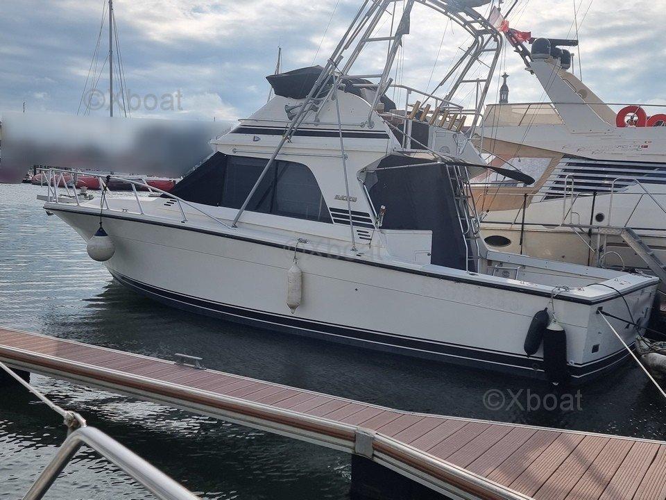 blackfin Blackfin 38 convertible