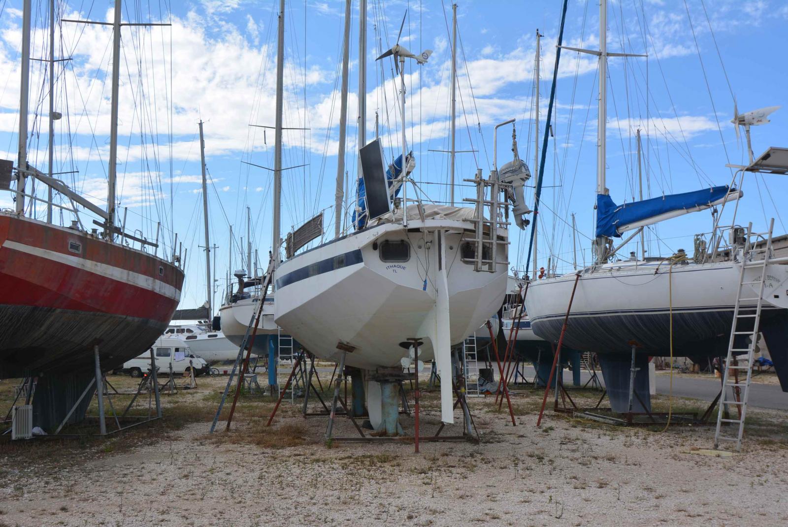 omn di colan marco Reve des tropiques