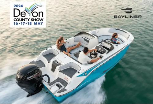Bayliner element 17