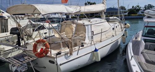 Franchini yachts adriatico 37