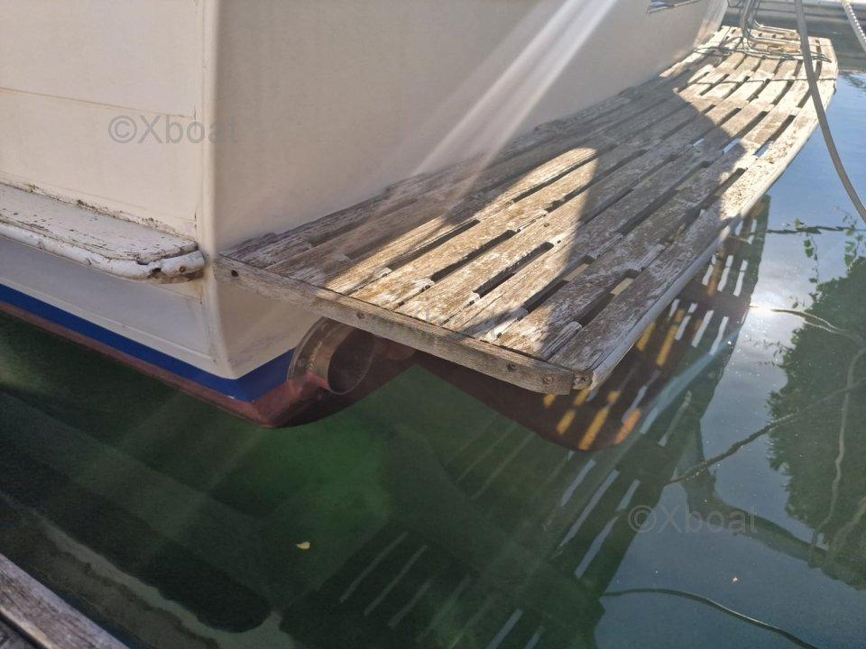 hiptimco marine Hiptimko gt 40