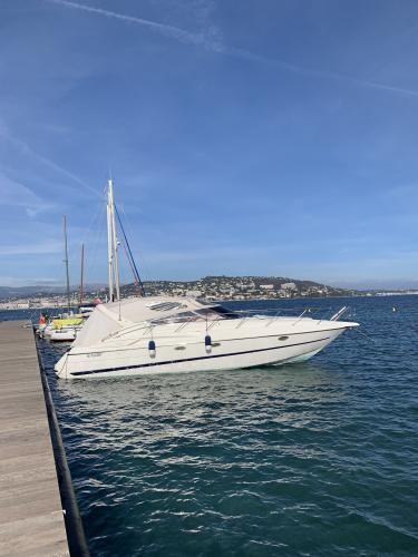 cranchi Endurance 39