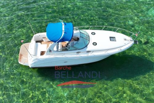 Sea ray 335 sundancer