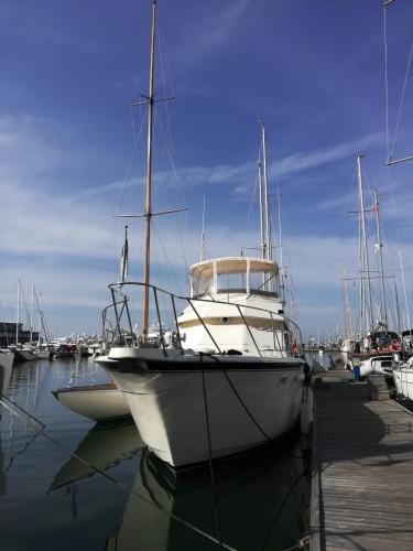 Hatteras hatteras 45