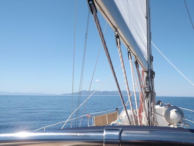bavaria yachts 42