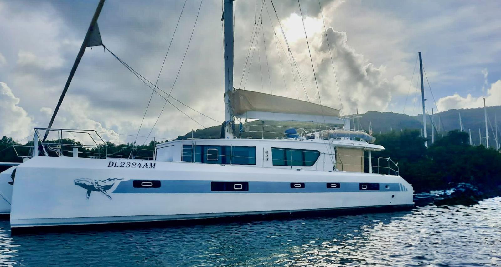 squalt marine Ck64