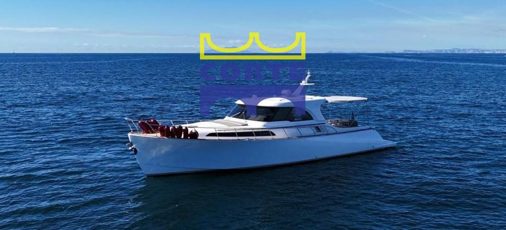 mochi craft Mochi 51 dolphin