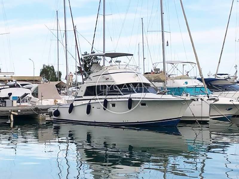 bertram yacht 38