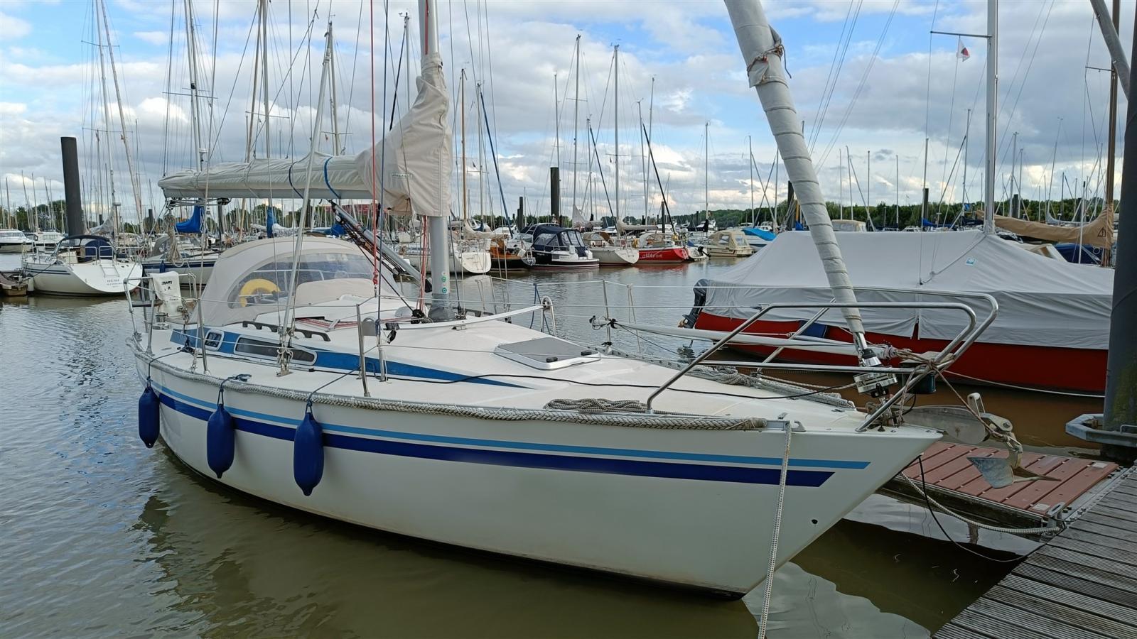 Finngulf 31