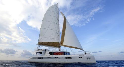 Squalt marine ck 64