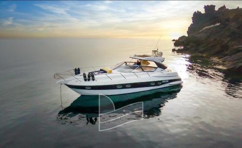 Sessa marine oyster 42