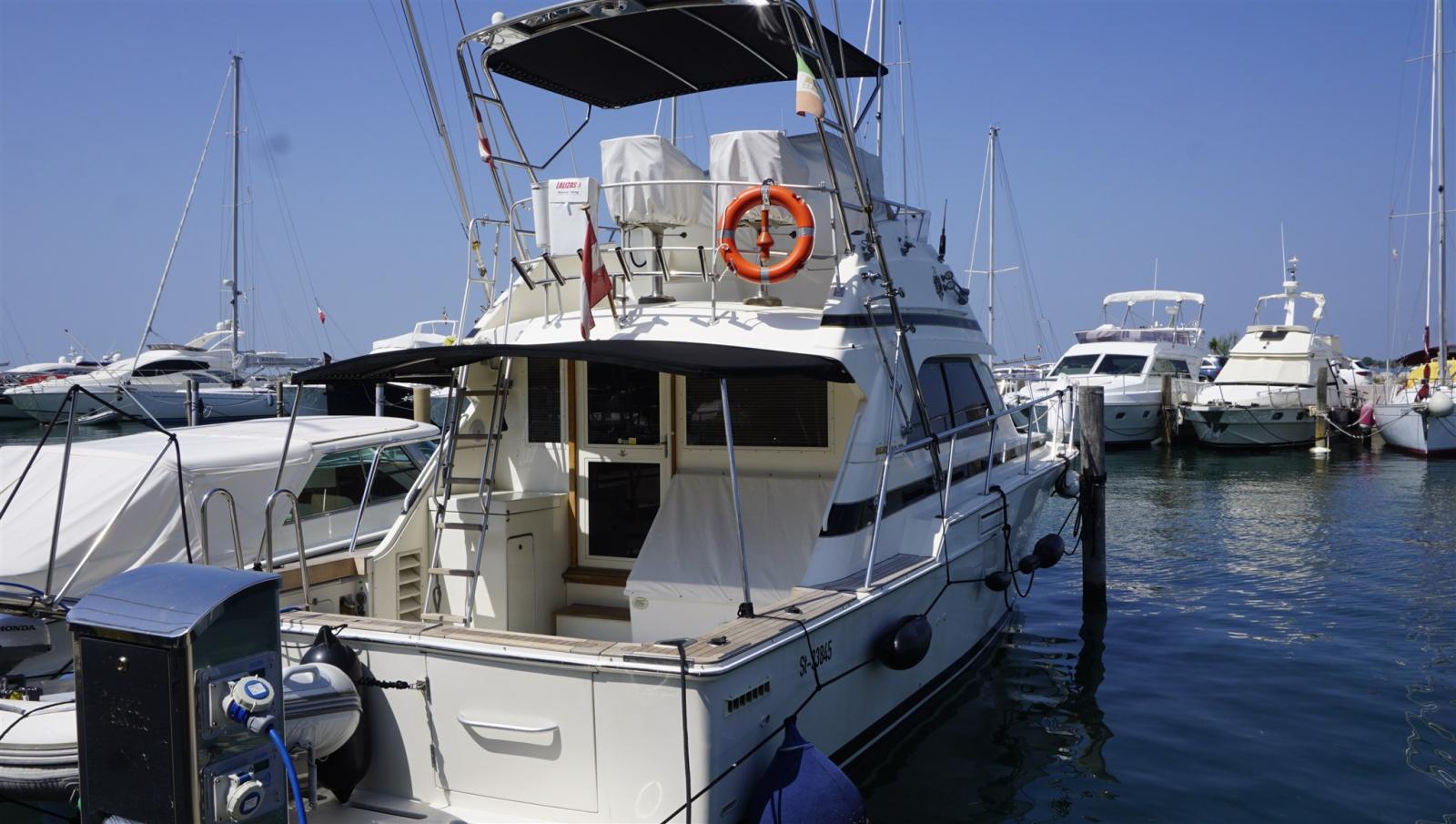 bertram yacht Bertram 37 convertible