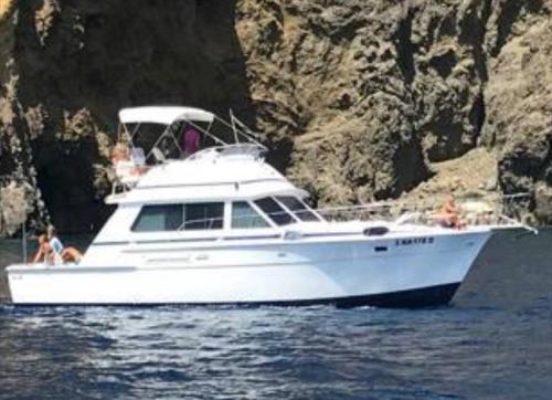 Bertram yacht 42