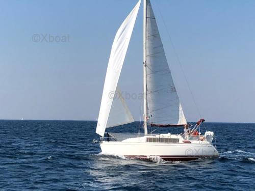 Delphia delphia 29
