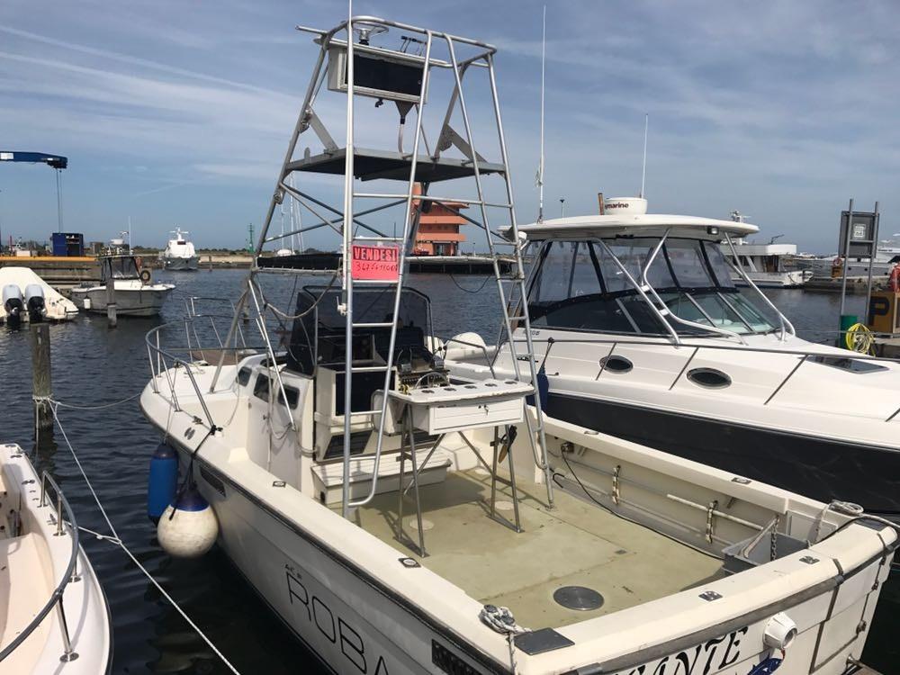 robalo Robalo 26 cavin walkaround