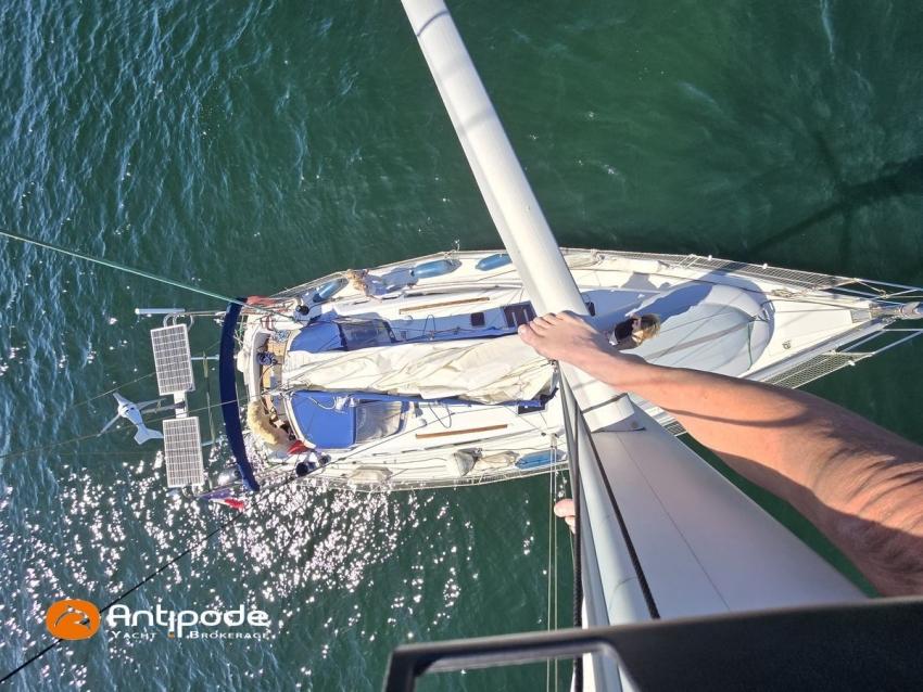 alliaura Feeling 39 di