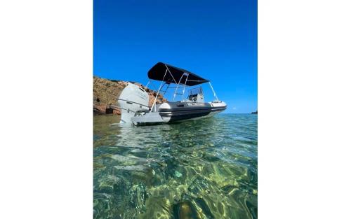 3d tender lux 655