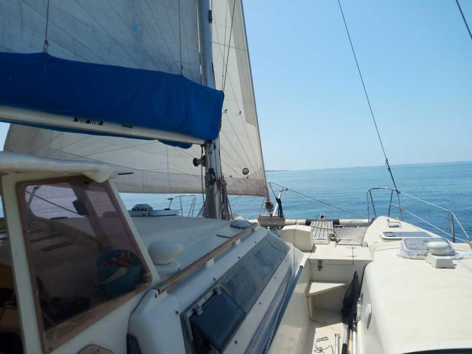 edelcat Edelcat 35