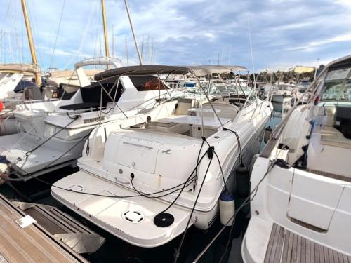 Sea ray 290 amberjack