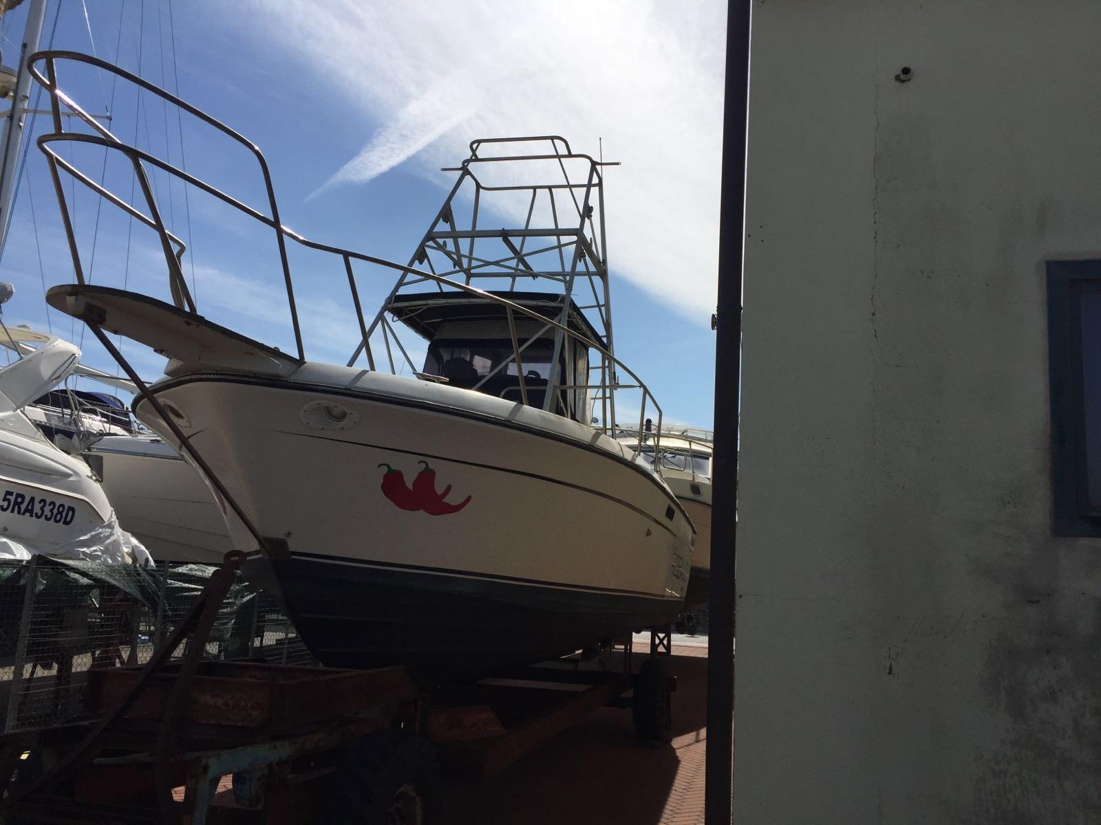 robalo Robalo 26 cavin walkaround