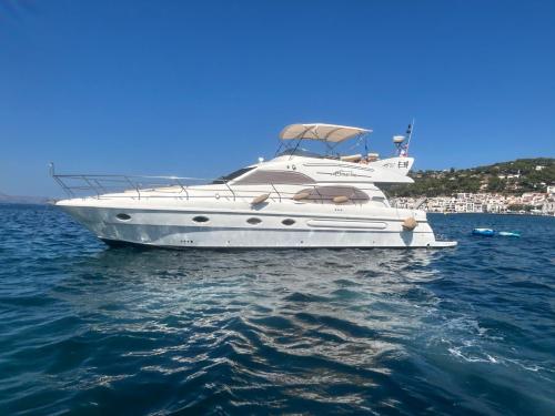 As marine 50