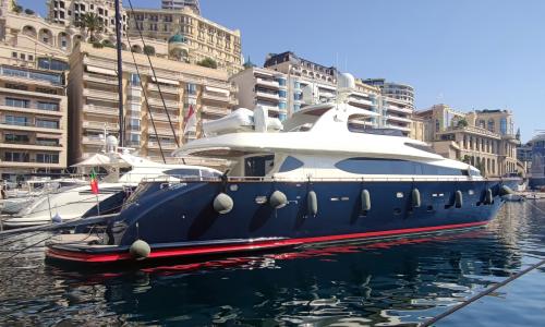 Maiora 31 dp