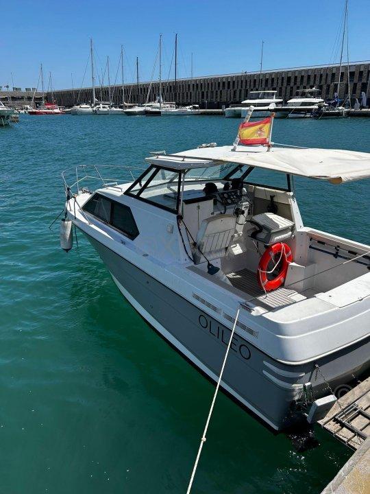 bayliner Bayliner 2452 ciera