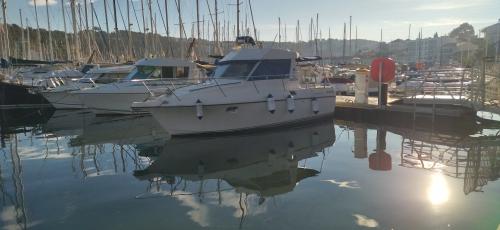 Antares 805