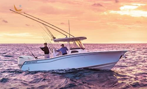 Grady white boats 271 canyon