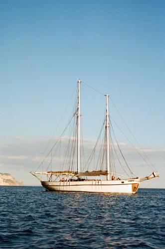 3d tender baltic trader