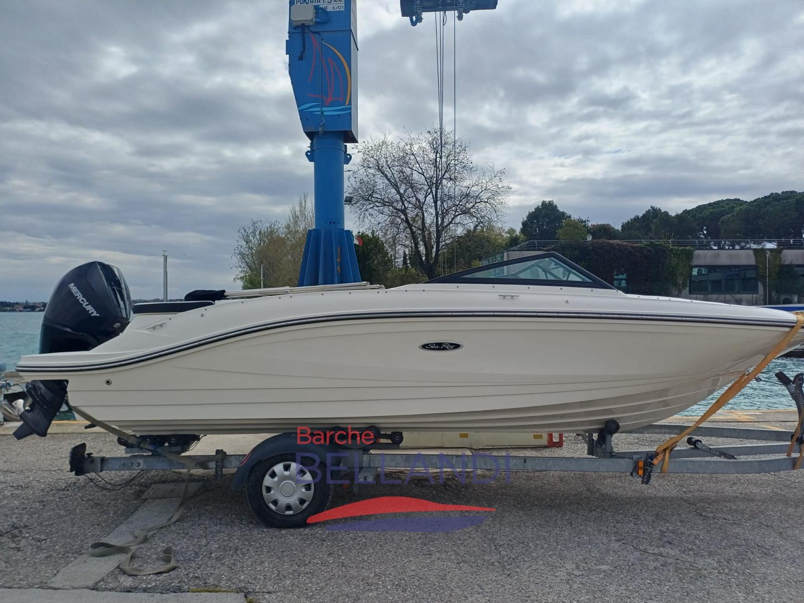 sea ray Spx 210 outboard