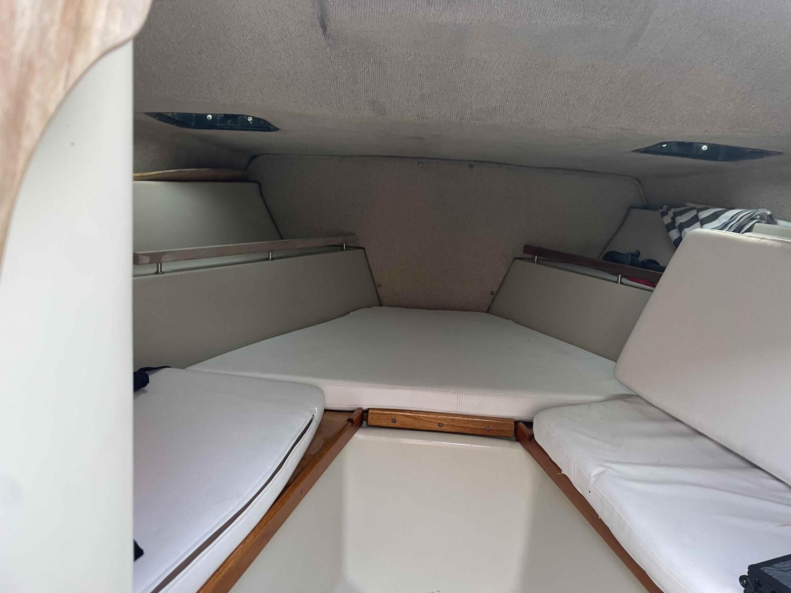 boston whaler Revenge 22 wt