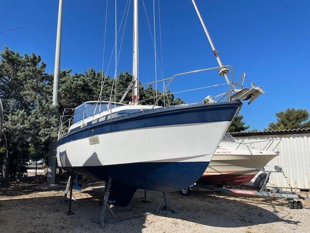 amerglass AMERGLASS SEARUNNER 30