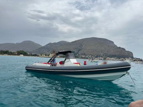 Doviboat supremus 33