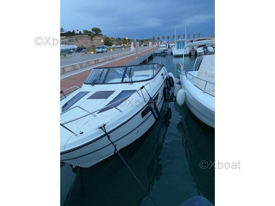 quicksilver Quicksilver activ 805 cruiser