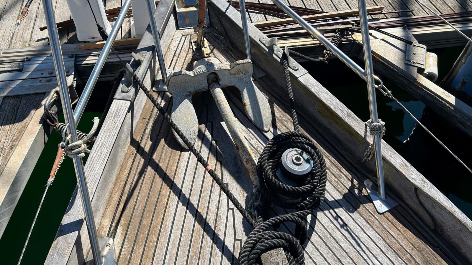 norvegien silvestro Yseult