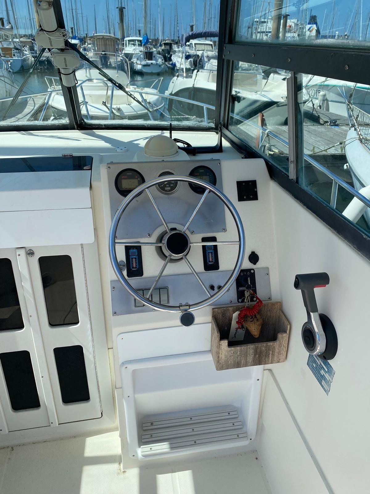 white shark 226 timonier
