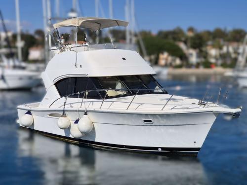 Riviera 3350 convertible