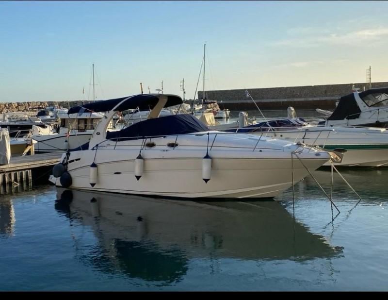 sea ray 335 dancer