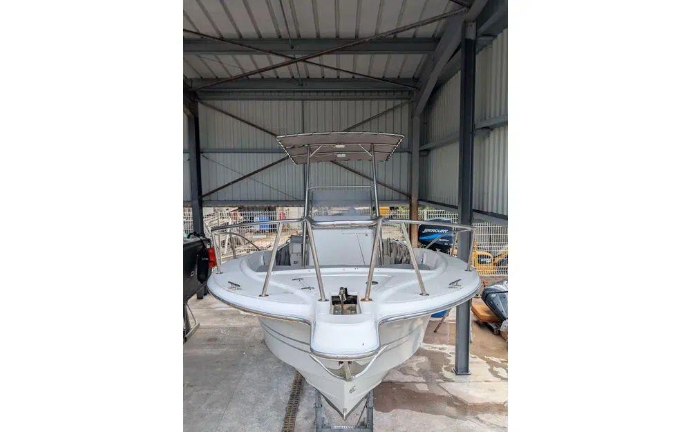 white shark White shark 225