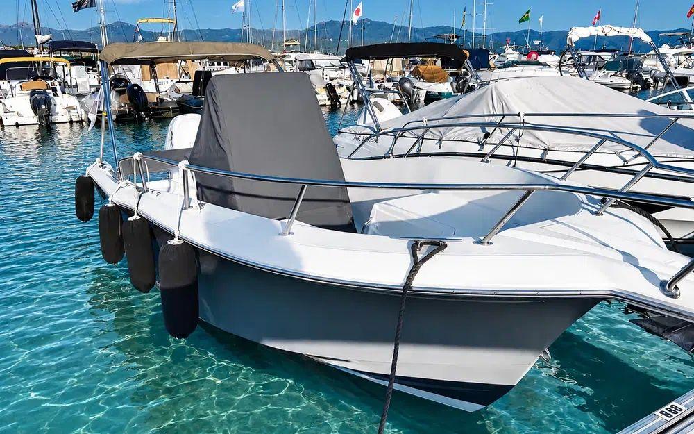 white shark White shark 226