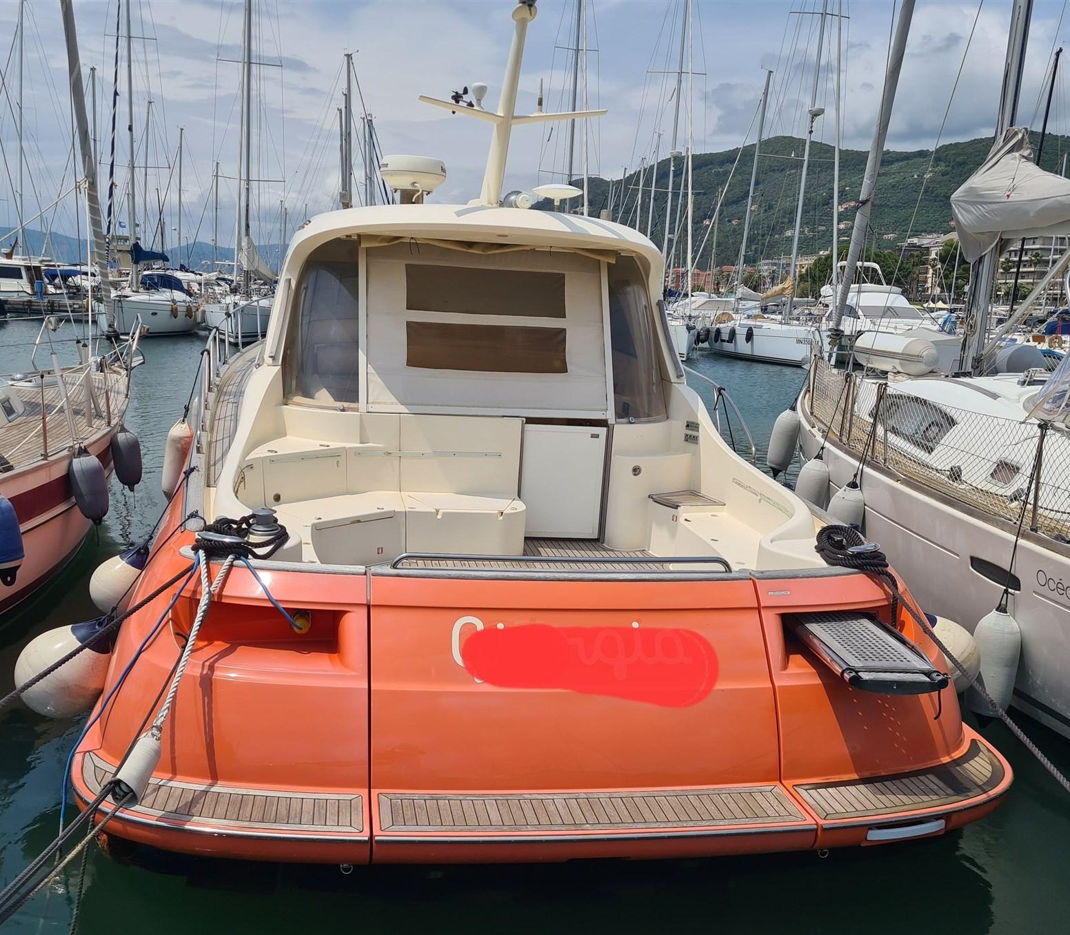 mochi craft Mochi 44 dolphin