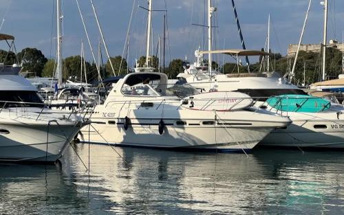 Sealine ambassador 380