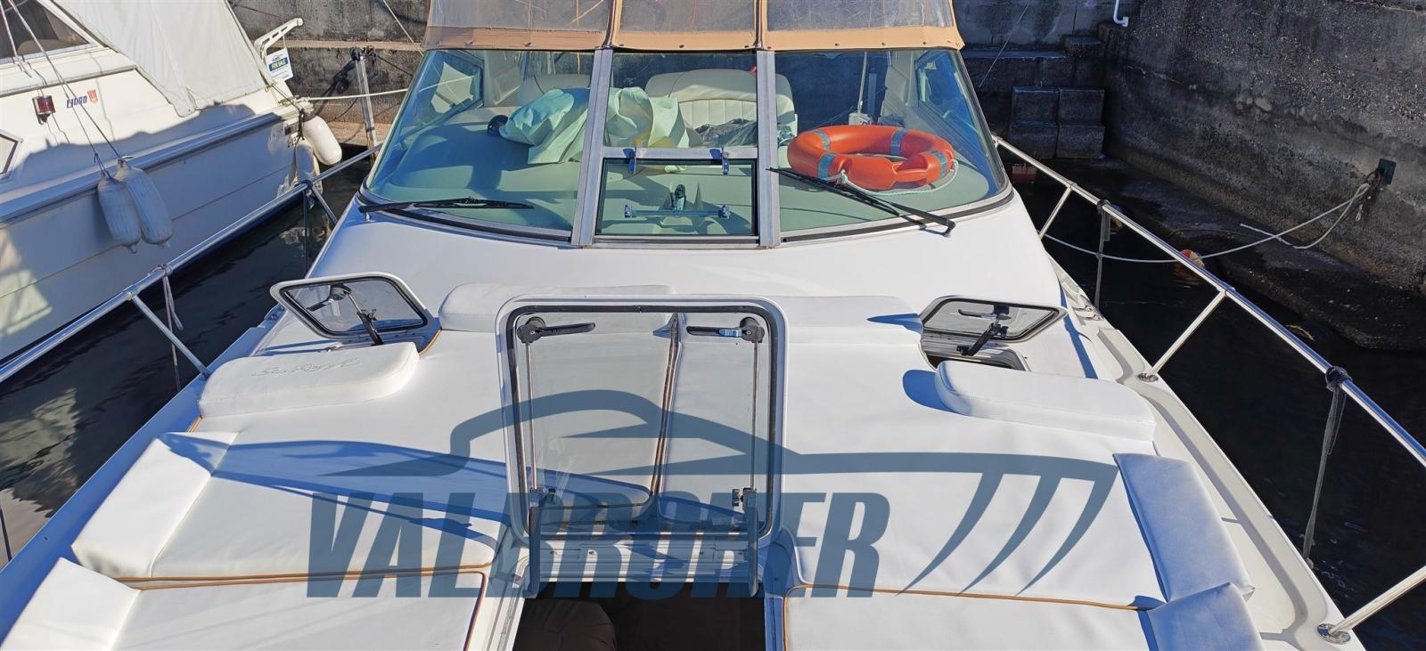 sea ray 310 sundancer