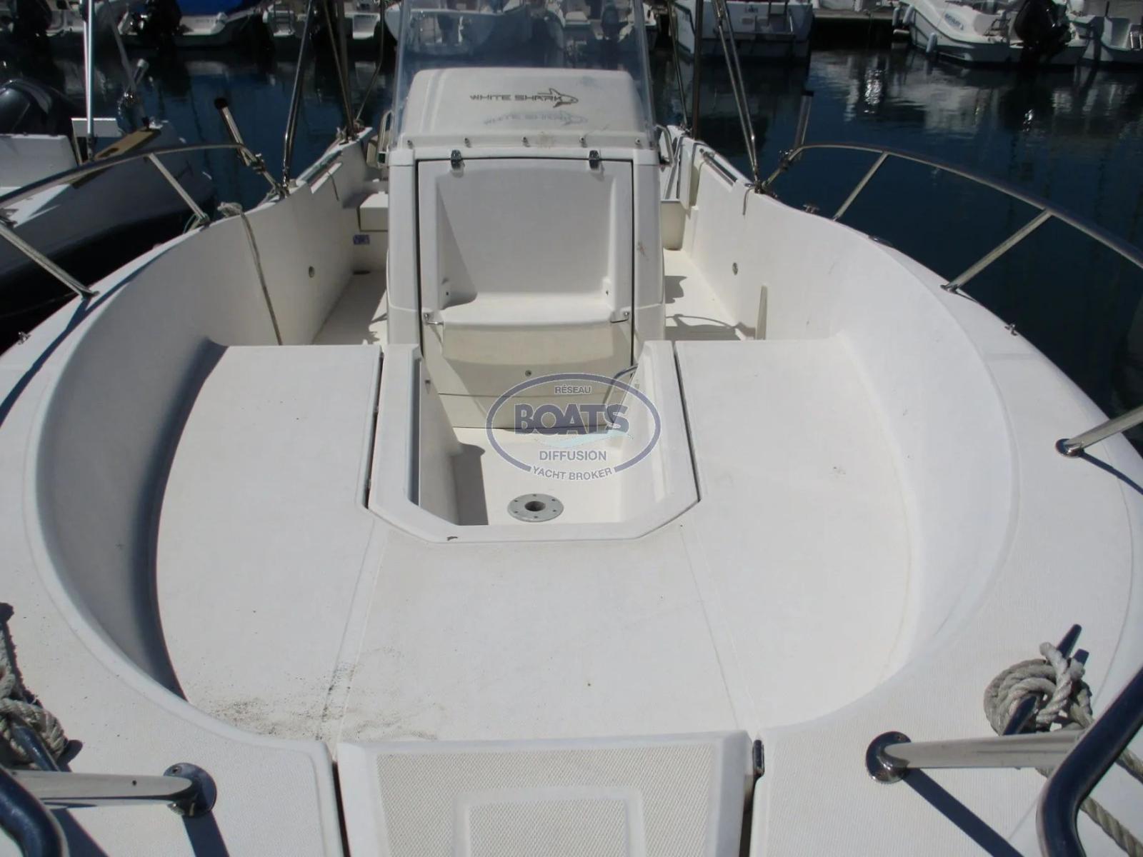 white shark White shark 226